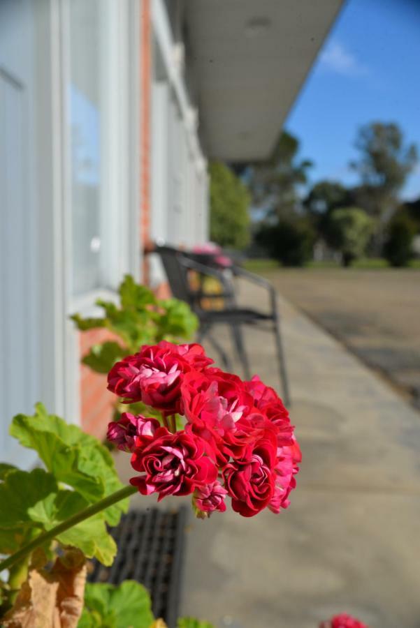 Ship Inn Motel Yarram 외부 사진